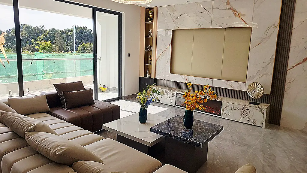 Craiova Realtors client viewing a property